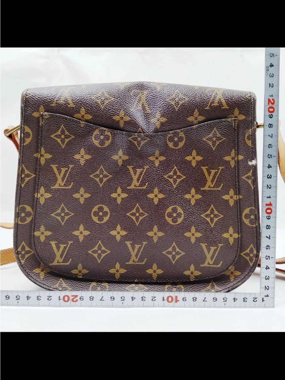 Louis Vuitton iconic louis